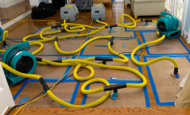 Professional Structural Drying And Dehumidification technician working in Bryan, OH